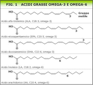 acidi grassi omega 3