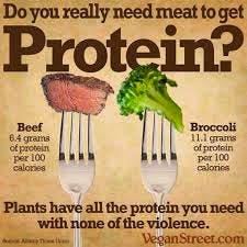 proteine-vegetariane